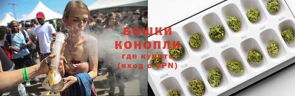 СК Дмитровск